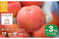 ワッサー 約3kg 7～12玉 ［おぶせファーマーズ］果物 フルーツ クール便 冷蔵便 長野県産 信州産 令和7年産【2025年8月上旬〜下旬発送】［F-39］