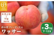ワッサー 約3kg 7～12玉 ［おぶせファーマーズ］果物 フルーツ クール便 冷蔵便 長野県産 信州産 令和7年産【2025年8月上旬〜下旬発送】［F-39］
