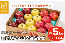  信州りんご3兄弟詰合せ 約5kg 11～18玉 ［おぶせファーマーズ］ りんご 林檎 リンゴ 果物 フルーツ  秋映 シナノスイート シナノゴールド 長野県産 令和7年産 【2025年10月中旬〜11月上旬発送】 ［F-244］