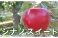 シナノスイートは、酸味がなく、みずみずしい食感と濃厚な甘みは幅広い層に人気です。