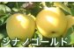 シナノゴールドは、しっかりとした甘みの中にさわやかな酸味がある黄色りんごです。