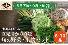 直売所から直送 旬の野菜・果物セット 6～10品 ［小布施屋］野菜 やさい 果物 フルーツ 詰め合わせ 詰合せ  令和7年産【2025年5月下旬～9月上旬発送】 ［H-79］
