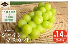 シャインマスカット 約1.4kg 2～3房 ［小布施屋］ フルーツ 果物 くだもの ぶどう 葡萄 ブドウ 数量限定 クール便配送 長野県産 産地直送 先行予約 送料無料 2025 2025年発送 令和7年産 【2025年10月1日頃～11月頭にかけて順次発送】 ［A-204］