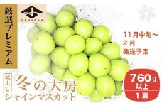 厳選プレミアム 大房 蔵出し冬のシャインマスカット 1房 760g以上［小布施屋］フルーツ 果物 長野県 ぶどう  冷蔵便 クール便 令和7年産  【2025年11月中旬～2026年2月発送】［A-505］