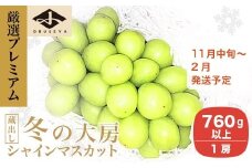 厳選プレミアム 大房 蔵出し冬のシャインマスカット 1房 760g以上［小布施屋］フルーツ 果物 長野県 ぶどう  冷蔵便 クール便 令和7年産  【2025年11月中旬～2026年2月発送】［A-505］