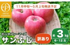 【訳あり】 サンふじ 約3kg 6～12玉［おぶせファーマーズ］ 不揃い 規格外 家庭用 りんご 林檎 リンゴ 果物 フルーツ ふじ 長野 信州 数量限定  【2024年11月中旬～2025年5月上旬発送】［FH-51］