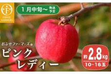 ピンクレディー 約2.8kg 10～16玉［ おぶせファーマーズ ］りんご フルーツ 果物 くだもの 先行予約 長野産 信州産 【2025年1月中旬～発送】［F-23］