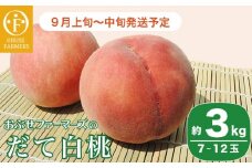 だて白桃 約3kg 7～12玉 ［おぶせファーマーズ］桃 もも モモ 白桃 フルーツ 果物 冷蔵便 クール便 長野県産 信州産 令和7年産【2025年9月上旬～中旬発送】［F-44］