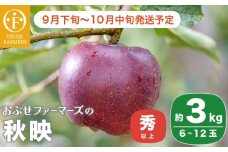  秋映 秀以上 約3kg 6～12玉 ［おぶせファーマーズ］ 果物 フルーツ りんご 林檎 リンゴ 長野県産 信州産 令和7年産 【2025年9月下旬〜10月中旬発送】 ［FH-82］