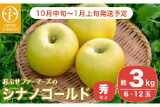  シナノゴールド 秀以上 約3kg 6～12玉 ［おぶせファーマーズ］ 果物 フルーツ りんご 林檎 リンゴ 長野県産 信州産 令和7年産 【2025年10月中旬〜2026年1月上旬発送】 ［FH-83］