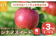  シナノスイート 秀以上 約3kg 6～12玉 ［おぶせファーマーズ］ 果物 フルーツ りんご 林檎 リンゴ 長野県産 信州産 令和7年産 【2025年10月中旬〜11月上旬発送】 ［FH-84］