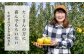 摘果によってりんごの大きさや形の良さが左右されるそうで、「摘果には特に力を注いでいる」と笑顔で話してくださいました。