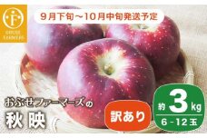 【訳あり】 秋映 約3kg 6～12玉 ［おぶせファーマーズ］ 不揃い 規格外 家庭用 果物 フルーツ りんご 林檎 リンゴ 長野県産 信州産 令和7年産 【2025年9月下旬〜10月中旬発送】 ［FH-52］