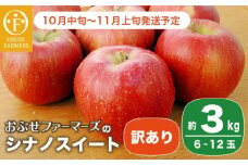 【訳あり】 シナノスイート 約3kg 6～12玉 ［おぶせファーマーズ］ 不揃い 規格外 家庭用  果物 フルーツ りんご 林檎 リンゴ 果物 フルーツ 長野県産 信州産 令和7年産 【2025年10月中旬〜11月上旬発送】 ［FH-54］