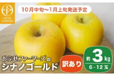 【訳あり】 シナノゴールド 約3kg 6～12玉 ［おぶせファーマーズ］ 不揃い 規格外 家庭用  果物 フルーツ りんご 林檎 リンゴ 長野県産 信州産 令和7年産 【2025年10月中旬〜2026年1月上旬発送】 ［FH-53］