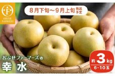 幸水 秀品 約3kg 6〜10玉  [おぶせファーマーズ]  なし 果物 フルーツ 長野県産 信州産 令和7年産 【2025年8月下旬～9月上旬発送】［F-47］