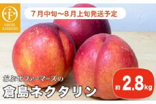 長野産 倉島ネクタリン 約2.8kg ［おぶせファーマーズ］先行予約 ネクタリン 果物 フルーツ 冷蔵便 クール便 長野県産 信州産 令和7年産【2025年7月中旬〜8月上旬発送】 ［F-46］