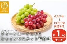クイーンルージュ® &シャインマスカット 詰合せ 各1房 約1kg ［おぶせファーマーズ］ 果物 フルーツ くだもの ぶどう 葡萄 ブドウ クール便 冷蔵便 令和7年産 【2025年9月下旬～10月下旬発送】 ［F-541］
