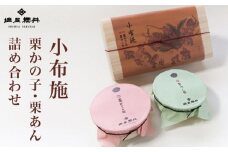 小布施 栗かの子・栗あん詰め合わせ ［塩屋櫻井］ ［C-33］