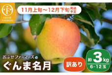 【訳あり】 ぐんま名月 約3kg 6～12玉 ［おぶせファーマーズ］  不揃い 規格外 家庭用 果物 フルーツ りんご リンゴ 林檎 長野県産 信州産 令和7年産 【2025年11月上旬～12月下旬発送】 ［FH-55］