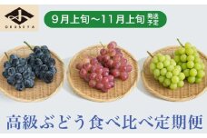 ［3回定期便］ 高級ぶどう食べ比べ定期便 約1kg × 3回 合計約3kg ［小布施屋］ フルーツ 果物 くだもの ぶどう 葡萄 ブドウ クール便 冷蔵 お楽しみ ナガノパープル クイーンルージュ® シャインマスカット 令和7年産 【2025年9月上旬～11月上旬発送】 ［J-7］