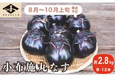 小布施丸なす 約2.8kg 8～12個 ［小布施屋］ 茄子 ナス 信州 伝統野菜 やさい 長野県産 お取り寄せグルメ 食品 数量限定 期間限定 【2025年8月～10月上旬発送】 ［A-227］