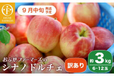 【訳あり】シナノドルチェ 約3kg 6～12玉 ［ おぶせファーマーズ ］ 数量限定 期間限定 果物類 林檎 りんご リンゴ 規格外 不揃い フルーツ 長野県産 信州産 令和7年産  【2025年9月中旬発送】 ［FH-56］