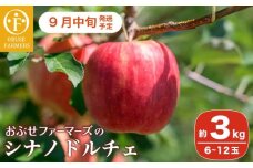 シナノドルチェ 約3kg 6～12玉 ［ おぶせファーマーズ ］ 数量限定 期間限定 果物類 林檎 りんご リンゴ フルーツ 長野県産 信州産 令和7年産 【2025年9月中旬発送】 ［FH-85］