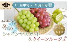 冬のシャインマスカット＆クイーンルージュ® 約1kg 各1房 ［小布施屋］フルーツ 果物 くだもの ぶどう 葡萄 ブドウ クール便 冷蔵 お楽しみ 長野県産 信州産 令和7年産 【2025年11月中旬～12月下旬発送】 ［A-302］