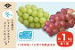 皮ごと食べられる手軽さと甘さが人気の2種を旬の時期にお届けします。