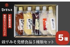 穀平みそ発酵食品5種類セット（吟醸みそ、豊醸みそ、吟白みそ 各280g、甘酒、塩こうじ 各250g、総合計1.34kg）［穀平味噌醸造場］味噌 みそ 麹 あま酒 国産 天然醸造味噌 詰め合わせ 詰合せ お試し 信州味噌 信州みそ スパウトパック スパウト袋 お楽しみ 長野県［B-16］