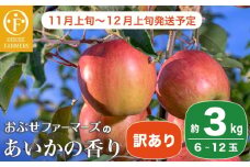 【訳あり】あいかの香り 約3kg 6～12玉 ［おぶせファーマーズ］ フルーツ 果物 林檎 リンゴ 長野県産 信州産 加工 傷 キズ 不揃い 規格外 家庭用  令和7年産 【2025年11月上旬～12月上旬発送】  ［FH-57］