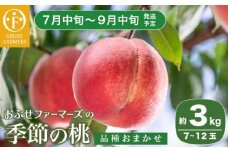 季節の桃 約3kg 7～12玉［ おぶせファーマーズ ］桃 もも モモ ピーチ フルーツ 果物 たまき なつき あかつき 川中島白鳳 なつっこ 川中島白桃 黄金桃 だて白桃 先行予約 長野県産 信州産 クール便 冷蔵便 お取り寄せ 産地直送 数量限定 産地 直送 令和7年産【2025年7月中旬～9月中旬発送】［F-62］