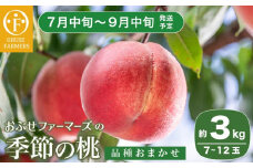 季節の桃 約3kg 7～12玉［ おぶせファーマーズ ］桃 もも モモ ピーチ フルーツ 果物 たまき なつき あかつき 川中島白鳳 なつっこ 川中島白桃 黄金桃 だて白桃 先行予約 長野県産 信州産 クール便 冷蔵便 お取り寄せ 産地直送 数量限定 産地 直送 令和7年産【2025年7月中旬～9月中旬発送】［F-62］