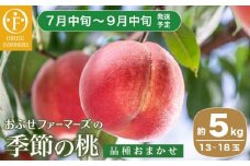 季節の桃 約5kg 13～18玉［ おぶせファーマーズ ］桃 もも モモ ピーチ フルーツ 果物 たまき なつき あかつき 川中島白鳳 なつっこ 川中島白桃 黄金桃 だて白桃 先行予約 長野県産 信州産 クール便 冷蔵便 お取り寄せ 産地直送 数量限定 産地 直送 令和7年産【2025年7月中旬～9月中旬発送】［F-63］