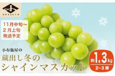 蔵出し冬のシャインマスカット 約1.3kg 2〜3房 ［小布施屋 ］長野県 ぶどう フルーツ 果物 冷蔵便 クール便 令和7年産【2025年11月中旬～2026年2月発送】［B-503］