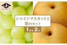 シャインマスカット1房と梨2玉 詰め合わせ ［小布施屋］果物 詰合せ セット フルーツ ぶどう なし シャインマスカット 先行予約 期間限定 冷蔵便 クール便 数量限定 長野県産 信州産 令和7年産 【2025年9月中旬頃～10月下旬頃まで順次発送】 ［A-306］