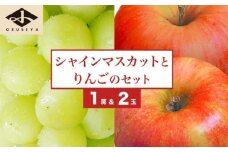シャインマスカット1房とりんご2玉 詰め合わせ ［小布施屋］果物 詰合せ セット フルーツ ぶどう 林檎 シャインマスカット 数量限定 期間限定 先行予約 冷蔵便 クール便 長野県産 信州産 送料無料 令和7年産 【2025年9月下旬頃～11月上旬頃まで順次発送】 ［A-307］