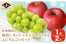蔵出し冬のシャインマスカット1房とふじりんご2玉のセット 約1.3kg ［小布施屋］フルーツ 果物 詰め合わせ 詰合せ 数量限定 シャインマスカット サンふじ 単身用 一人暮らし 2人暮らし 長野県産 信州産 令和7年産 【2025年12月中旬頃～2026年2月発送】［A-305］