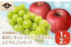 蔵出し冬のシャインマスカット1房とふじりんご2玉のセット 約1.3kg ［小布施屋］フルーツ 果物 詰め合わせ 詰合せ 数量限定 シャインマスカット サンふじ 単身用 一人暮らし 2人暮らし 長野県産 信州産 令和7年産 【2025年12月中旬頃～2026年2月発送】［A-305］