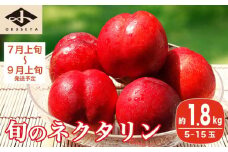 旬のネクタリン 約1.8kg 5～15玉 ［小布施屋］ 果物 フルーツ 桃 もも 長野県産 小布施 冷蔵便 クール便 産地直送 数量限定 送料無料 令和7年産 【2025年7月上旬～9月上旬発送】 ［H-102］