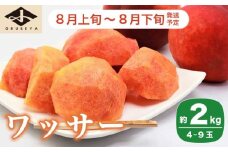 ワッサー 約2kg 4～9玉 ［小布施屋］ フルーツ 果物 長野県産 信州産 クール便 冷蔵便 数量限定 産地直送 令和7年産 【2025年8月上旬～8月下旬発送】 ［H-101］