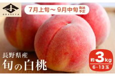 旬の白桃 約3kg 6～13玉 ［小布施屋］ 白桃 桃 もも モモ フルーツ 果物 クール便 冷蔵便 長野県産 信州産 期間限定 数量限定  たまき なつき あかつき 川中島白鳳 川中島白桃など 先行予約 2025 令和7年産 令和7年産 【2025年7月上旬～9月中旬発送】 ［H-100］