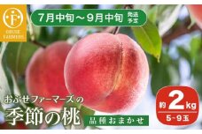 季節の桃 約2kg 5～9玉［ おぶせファーマーズ ］桃 もも モモ ピーチ フルーツ 果物 たまき なつき あかつき 川中島白鳳 なつっこ 川中島白桃 黄金桃 だて白桃 先行予約 長野県産 信州産 クール便 冷蔵便 お取り寄せ 産地直送 数量限定 産地 直送 令和7年産【2025年7月中旬～9月中旬発送】［F-61］