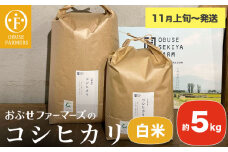 コシヒカリ 白米  約5kg ［ おぶせファーマーズ ］ お米 コメ おこめ ご飯 精米 長野県産 【2025年11月上旬～発送】 ［FK-11］