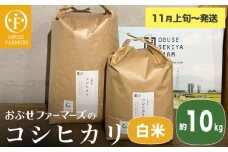 コシヒカリ 白米  約10kg ［ おぶせファーマーズ ］ お米 コメ おこめ ご飯 精米 長野県産 【2025年11月上旬～発送】 ［FK-12］