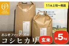 コシヒカリ 玄米  約5kg ［ おぶせファーマーズ ］ お米 コメ おこめ ご飯 精米 長野県産 【2025年11月上旬～発送】 ［FK-13］