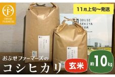コシヒカリ 玄米  約10kg ［ おぶせファーマーズ ］ お米 コメ おこめ ご飯 精米 長野県産 【2025年11月上旬～発送】 ［FK-14］