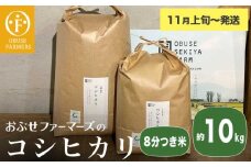 コシヒカリ 8分つき米  約10kg ［ おぶせファーマーズ ］ お米 コメ おこめ ご飯 精米 長野県産 【2025年11月上旬～発送】 ［FK-16］