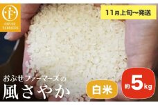 風さやか 白米  約5kg ［ おぶせファーマーズ ］ お米 コメ おこめ ご飯 精米 長野県産 【2025年11月上旬～発送】 ［FK-17］